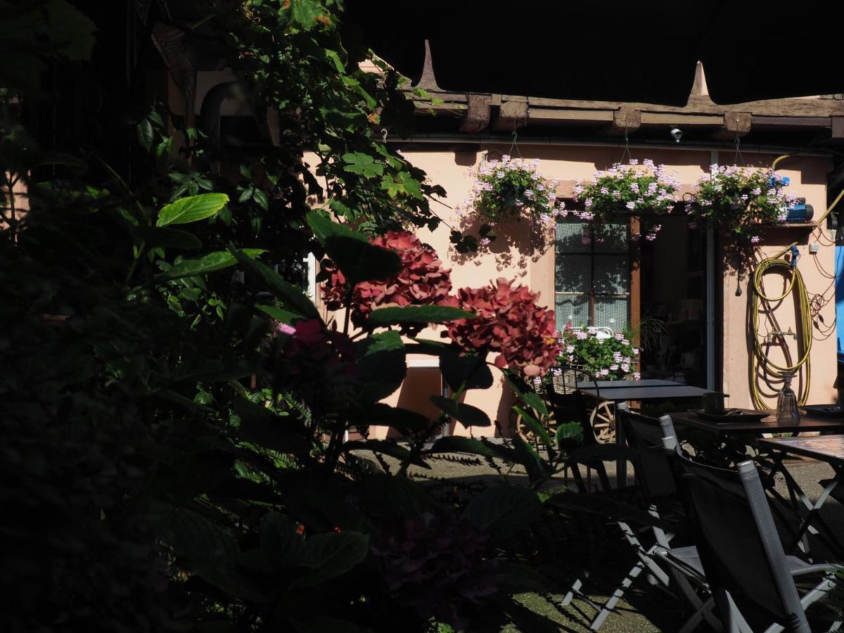 Chambres D'Hotes Chez Caroline Colmar Exteriér fotografie